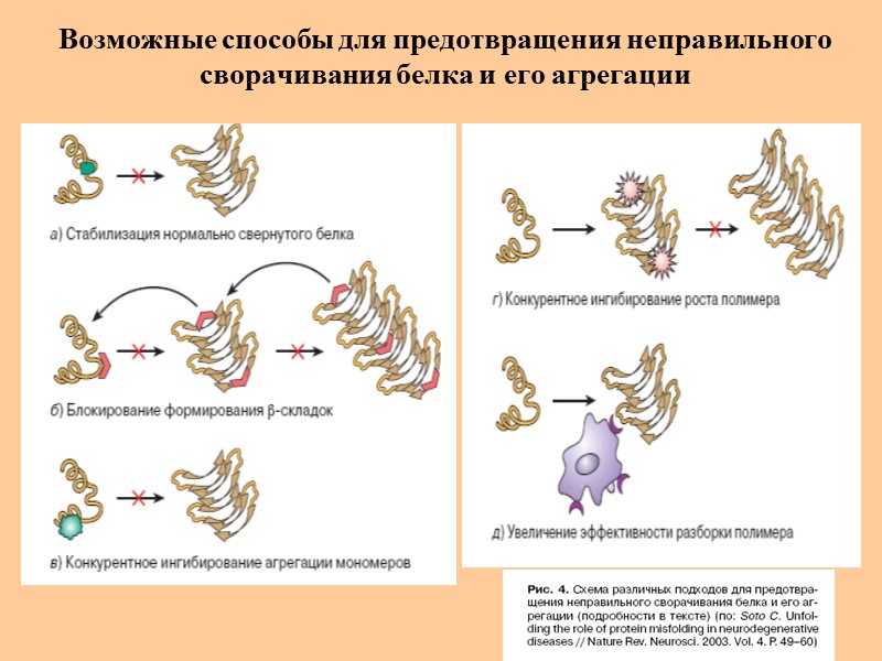 Возможные способы для предотвращения неправильного сворачивания белка и его агрегации